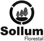 Sollum